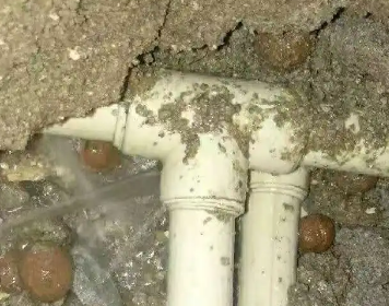 富拉尔基测漏水多少钱
