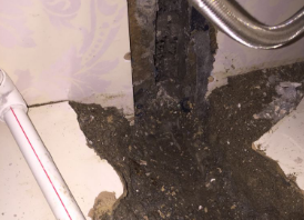 富拉尔基卫生间测漏水哪家好