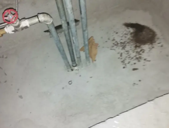 富拉尔基卫生间测漏水价格明细